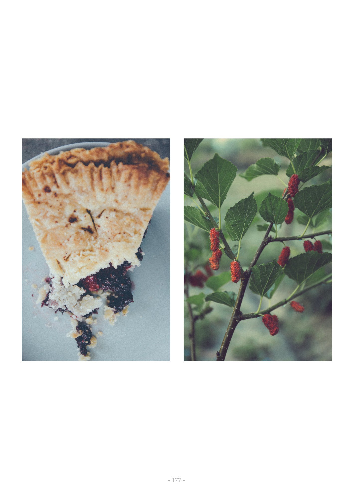 ภาพ PHOTOGRAPHIC ART THESIS EXHIBITION 2015 — หน้า 177