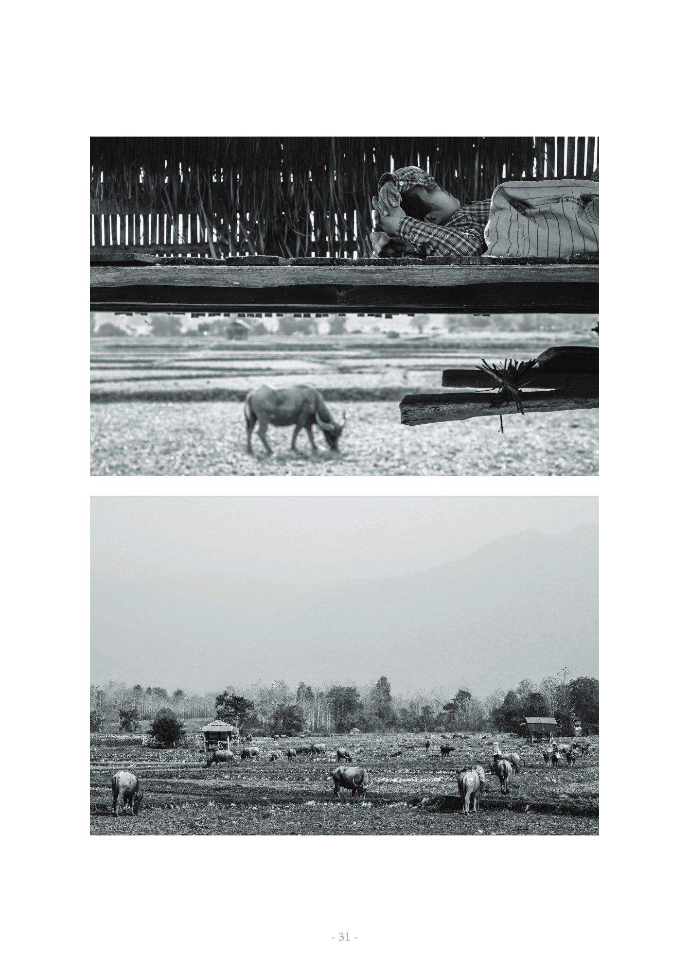 ภาพ PHOTOGRAPHIC ART THESIS EXHIBITION 2015 — หน้า 31