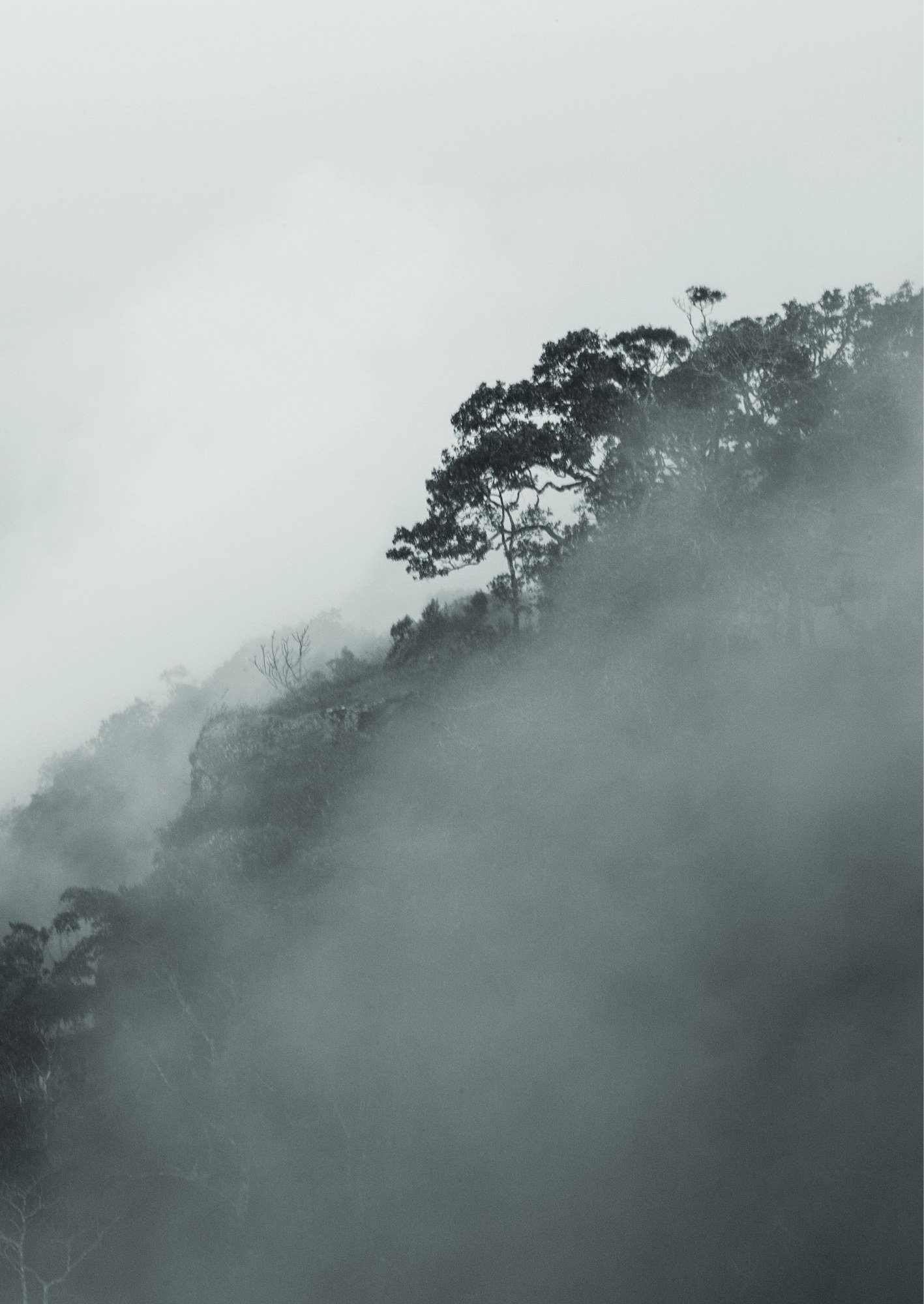 ภาพ PHOTOGRAPHIC ART THESIS EXHIBITION 2015 — หน้า 71
