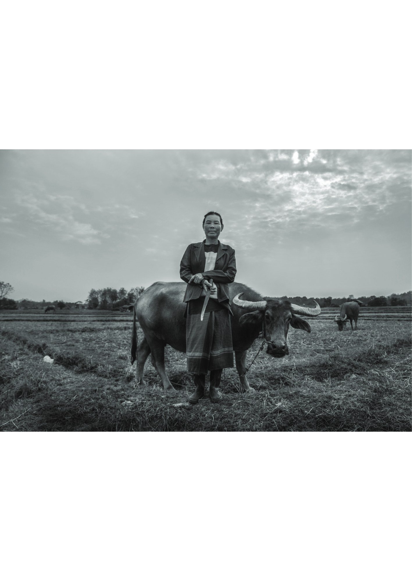 ภาพ PHOTOGRAPHIC ART THESIS EXHIBITION 2015 — หน้า 29