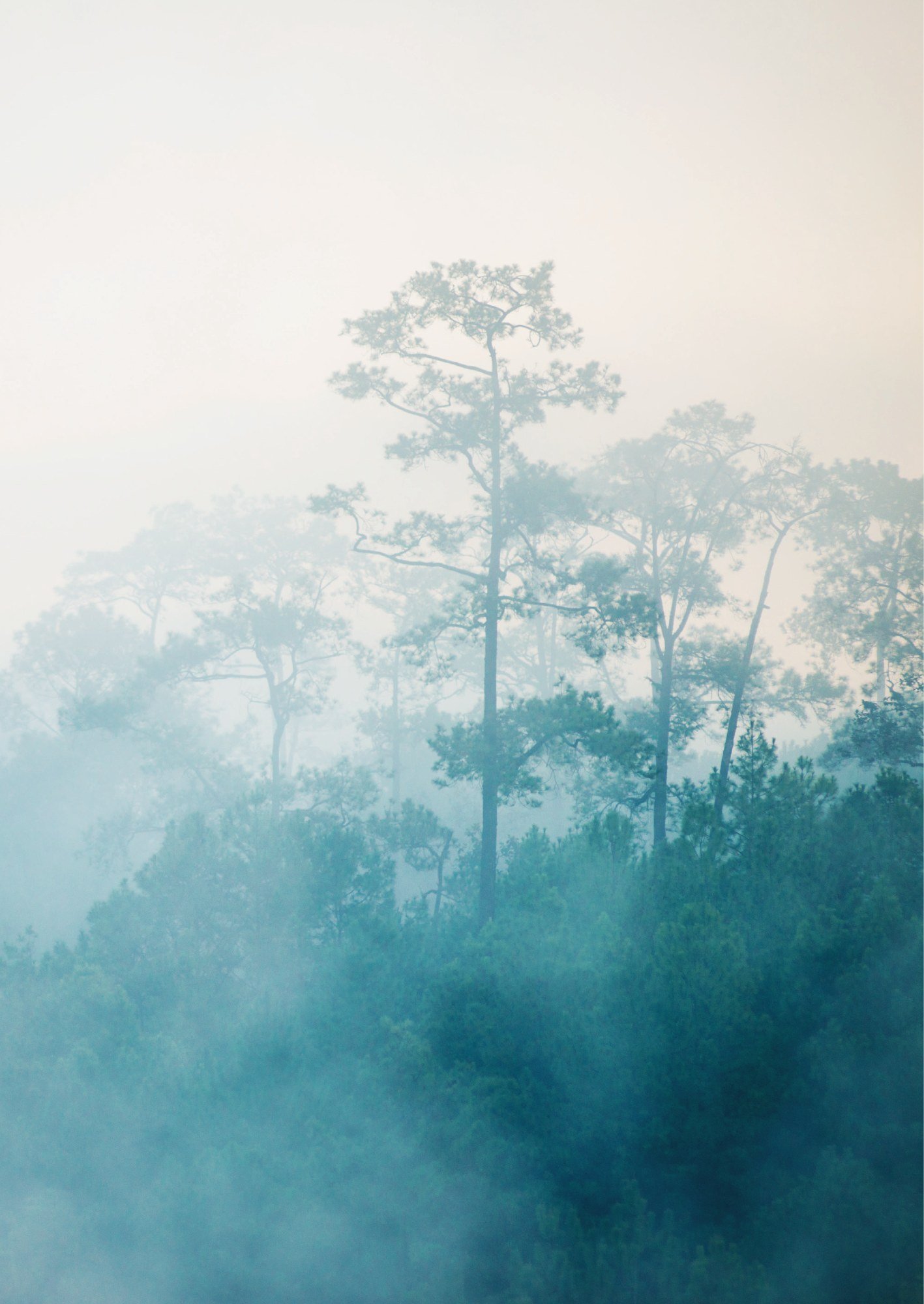 ภาพ PHOTOGRAPHIC ART THESIS EXHIBITION 2015 — หน้า 51