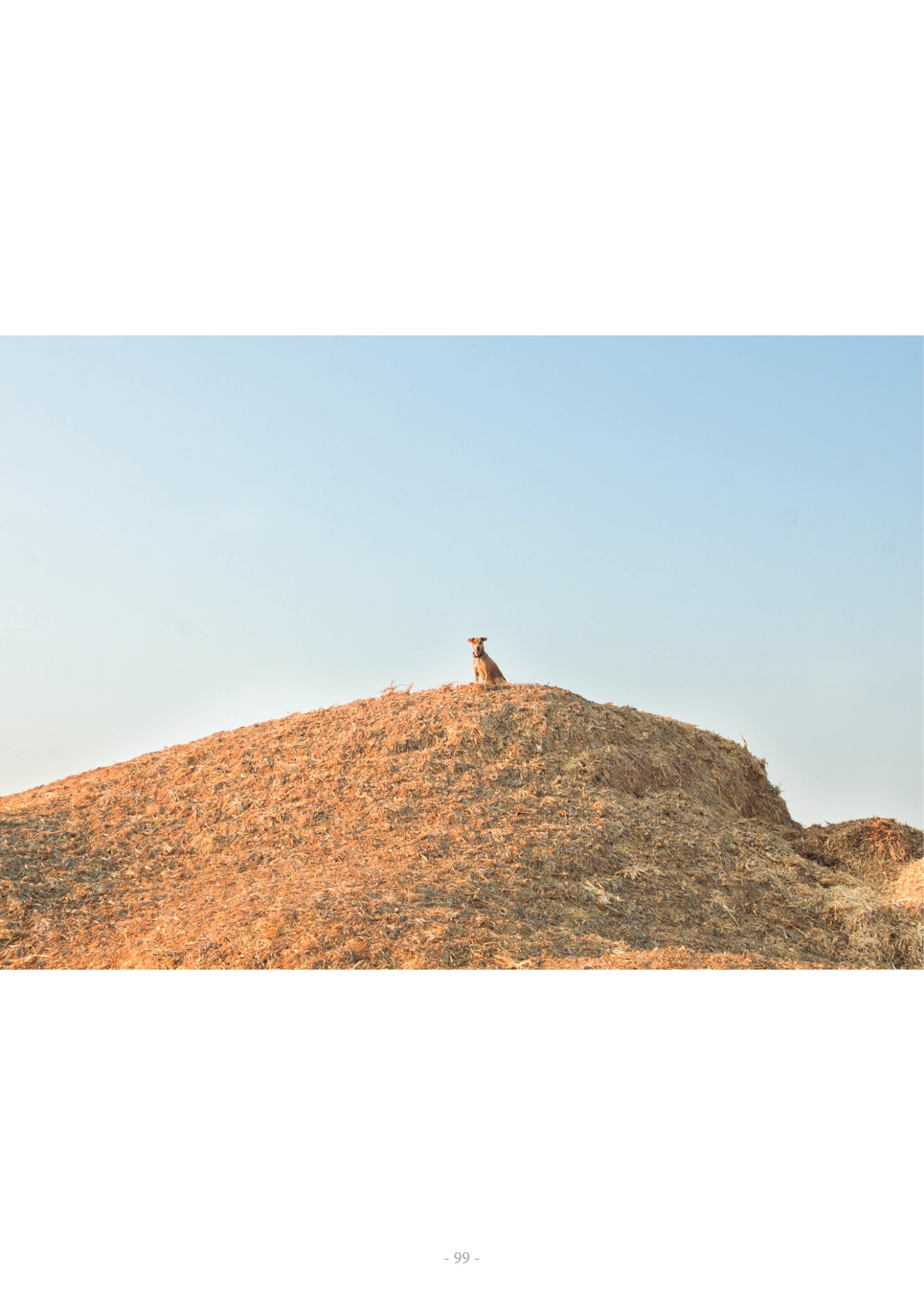 ภาพ PHOTOGRAPHIC ART THESIS EXHIBITION 2015 — หน้า 99