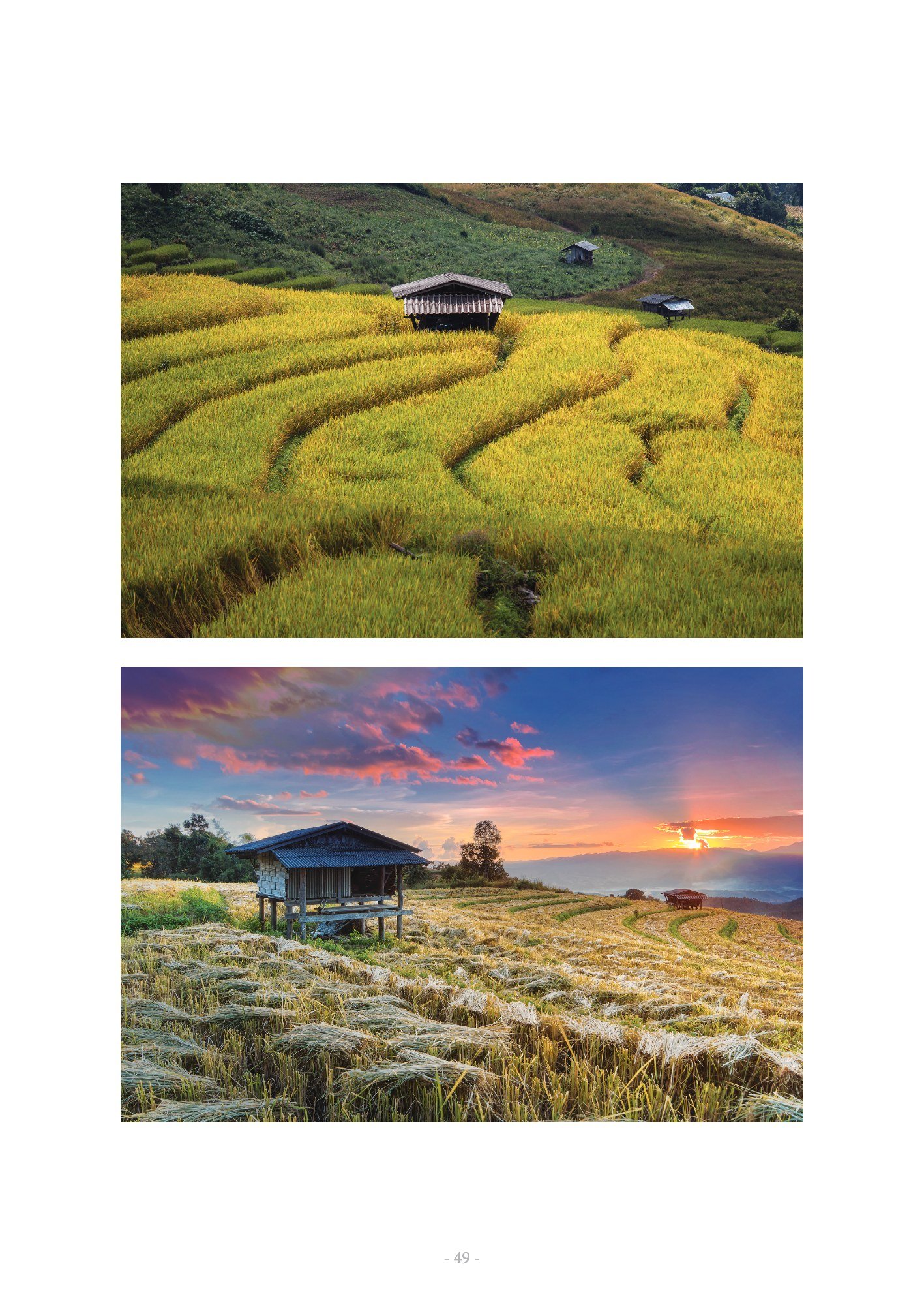 ภาพ PHOTOGRAPHIC ART THESIS EXHIBITION 2015 — หน้า 49