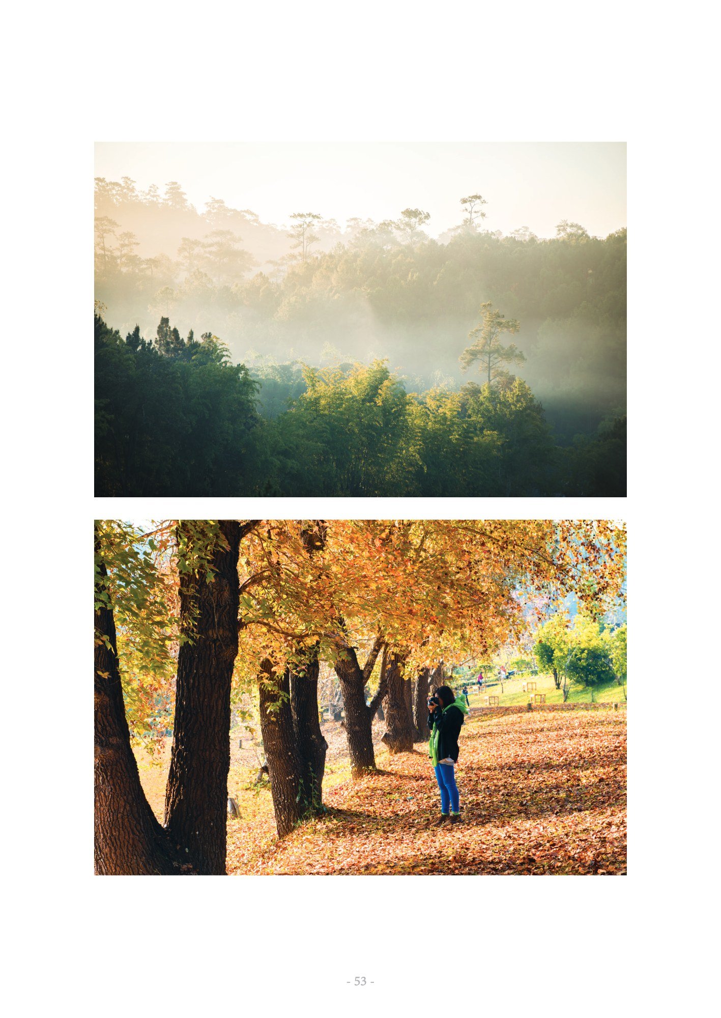 ภาพ PHOTOGRAPHIC ART THESIS EXHIBITION 2015 — หน้า 53