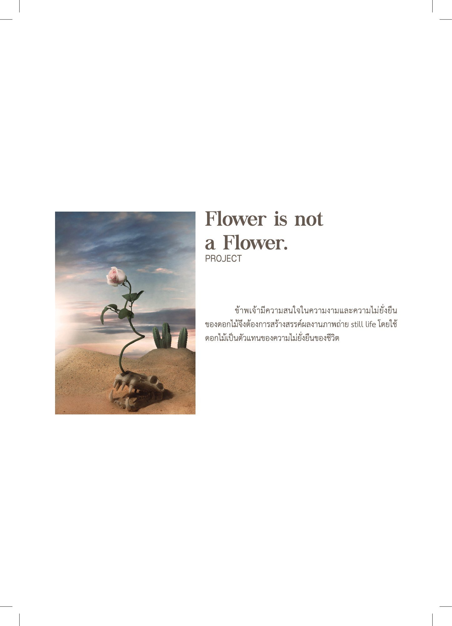 สูจิบัตร DEV Thesis EXHIBITION 2019 — หน้า 33