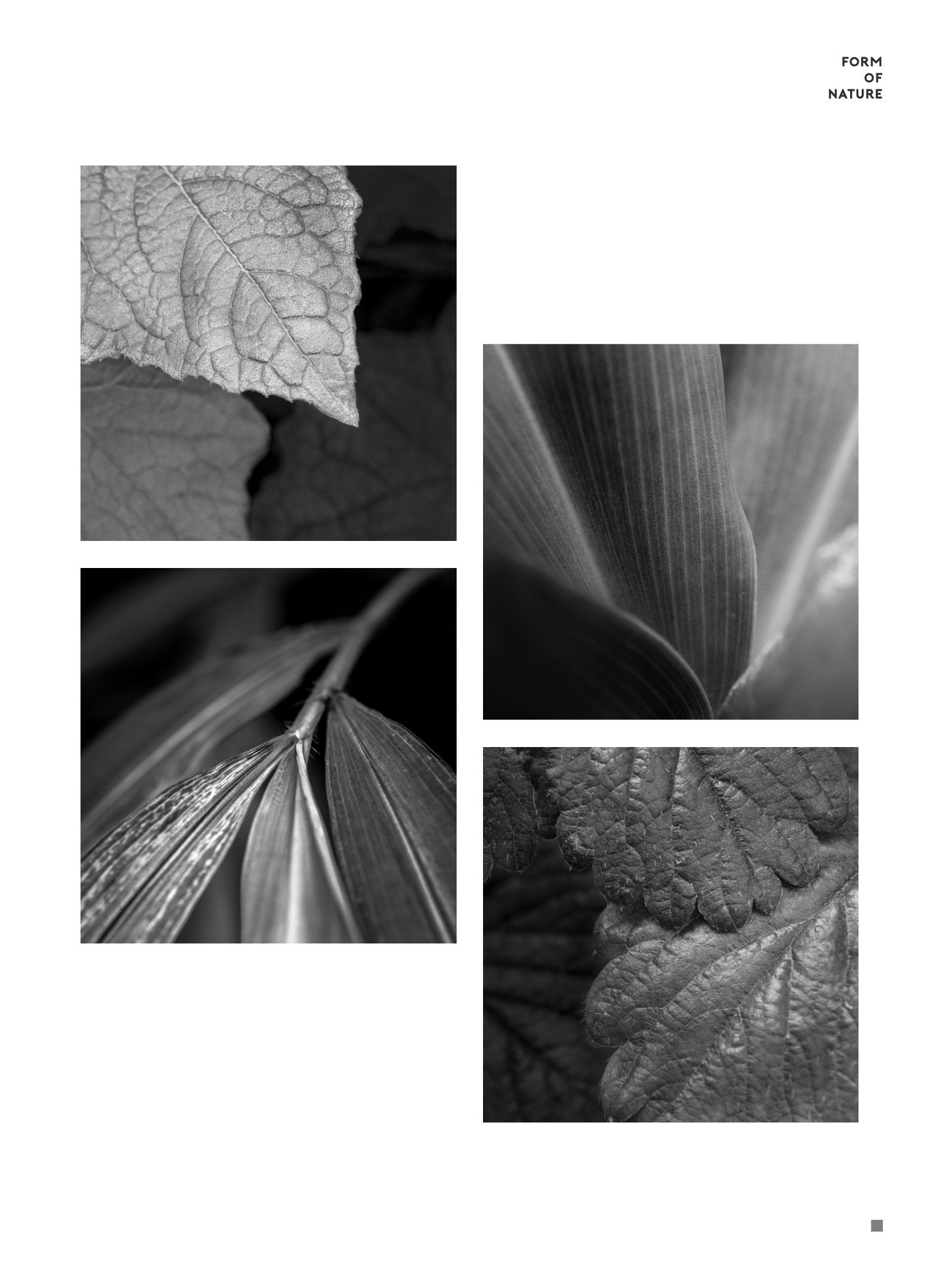 LUZ PHOTO EXHIBITION 2018 — หน้า 61